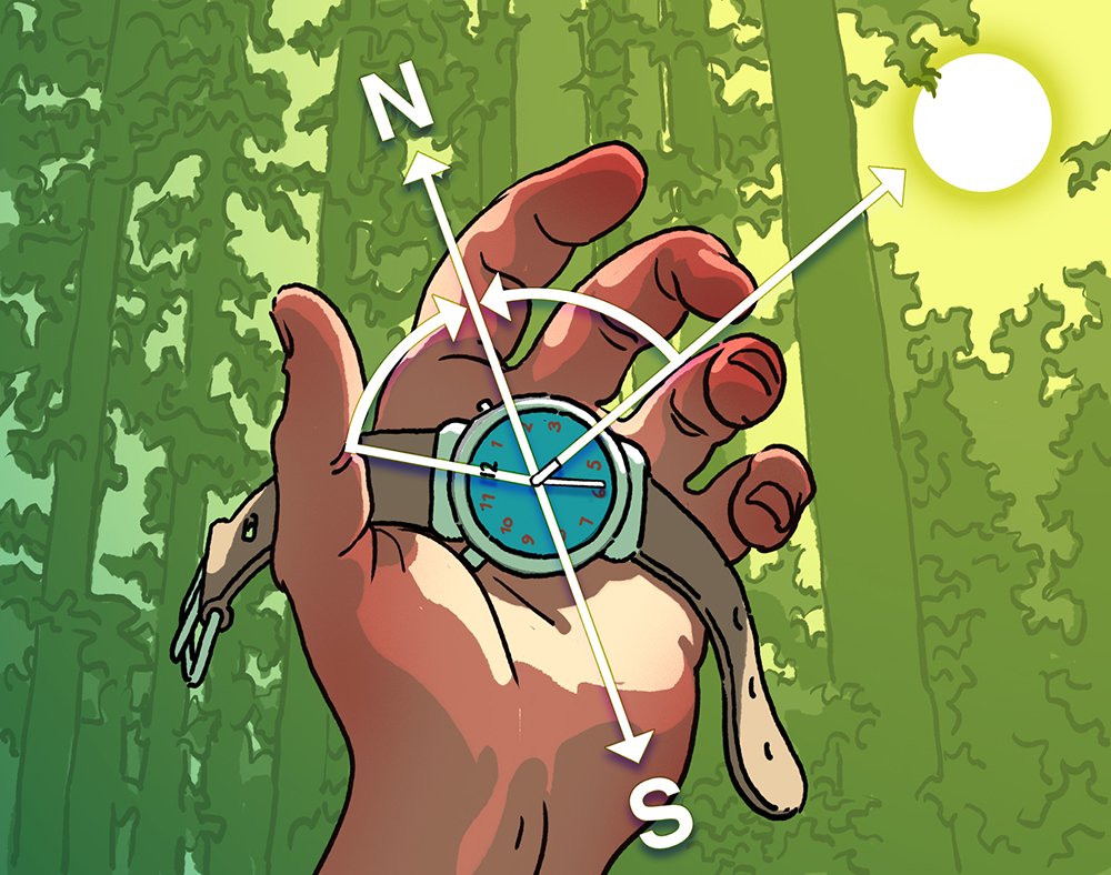 Comment naviguer sans GPS ni boussole ?